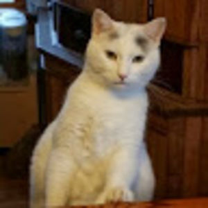 Meet your Posher, Nancy